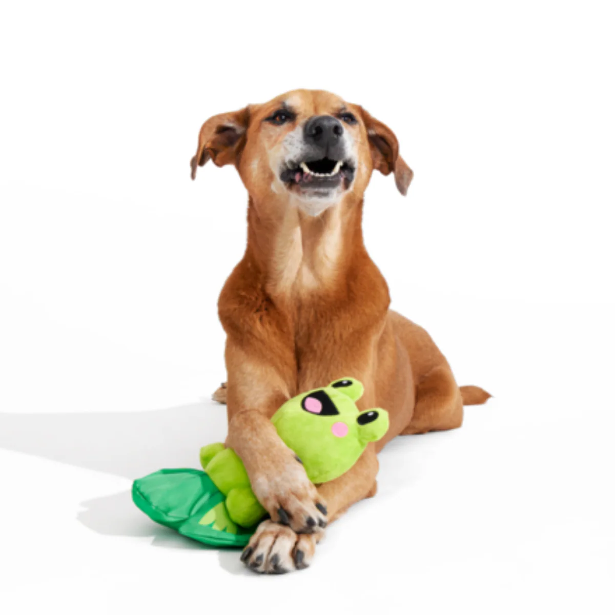Lily Pal Plush Tug Dog Toy - Image 2