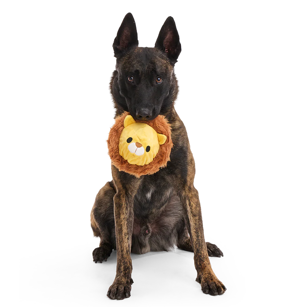 Lionel Lion Durable Super Chewer 2-in-1 Rip and Reveal + Fetch Dog Toy - Image 2