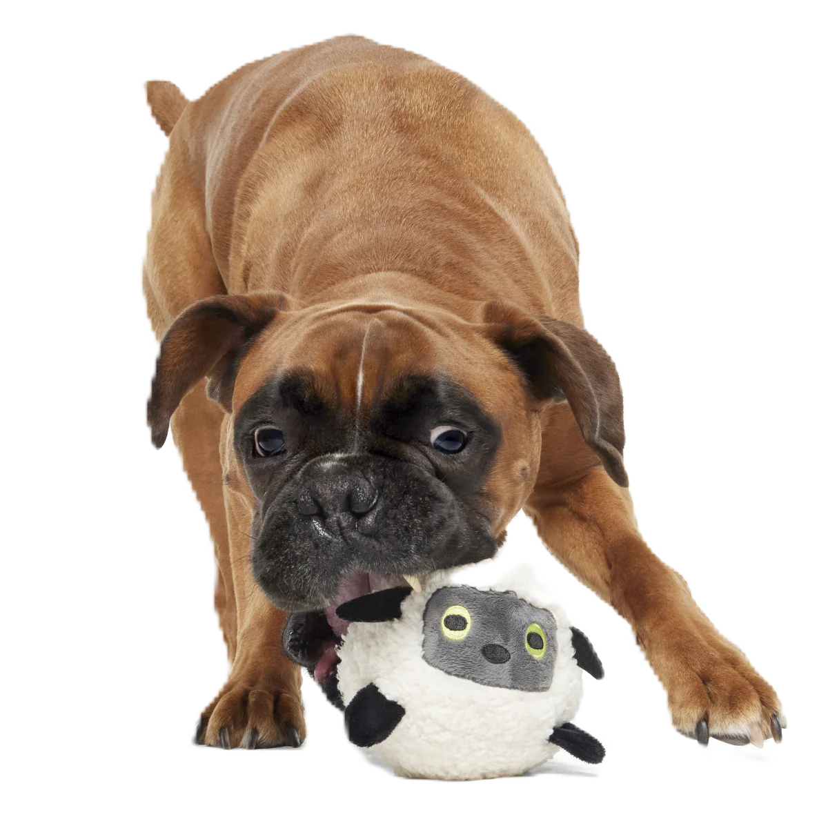 Little Bo Pup Super Chewer Durable Fetch + 2-in-1 Dog Toy - Image 4