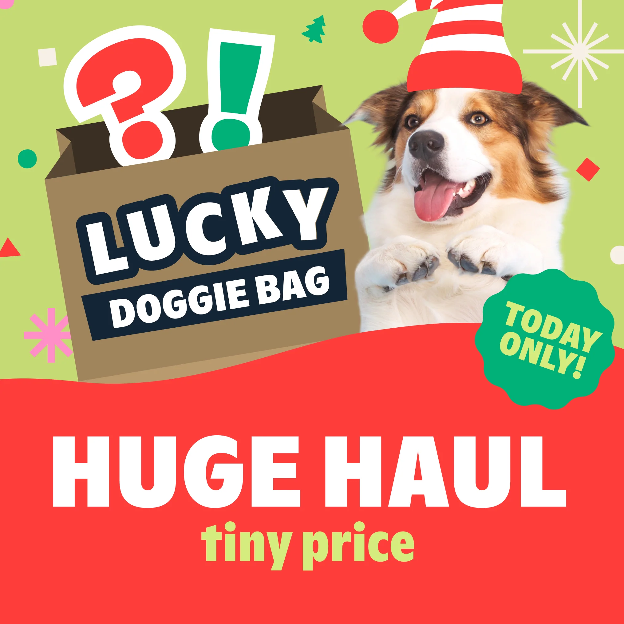 Lucky Doggie Bag