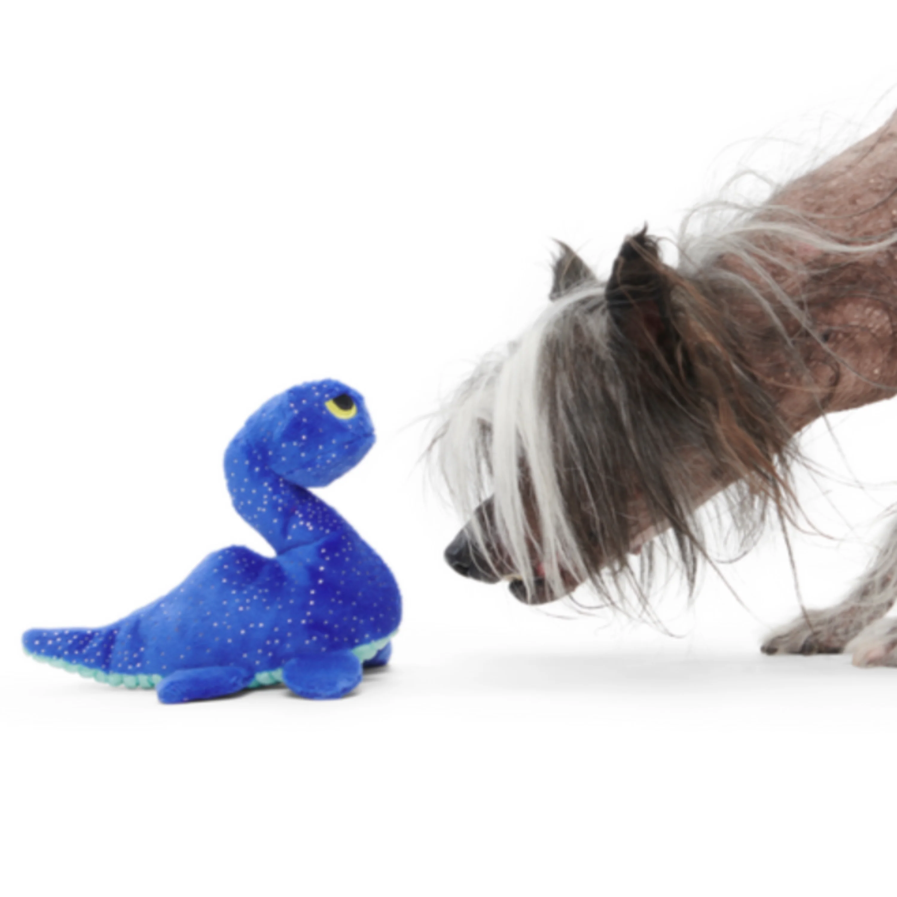 Luke Ness Monster Plush Tug Dog Toy - Image 3