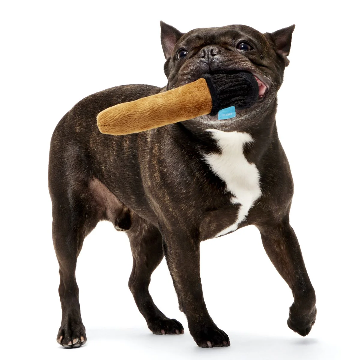 Spellbinding Wand™ Plush Fetch Dog Toy - Image 2