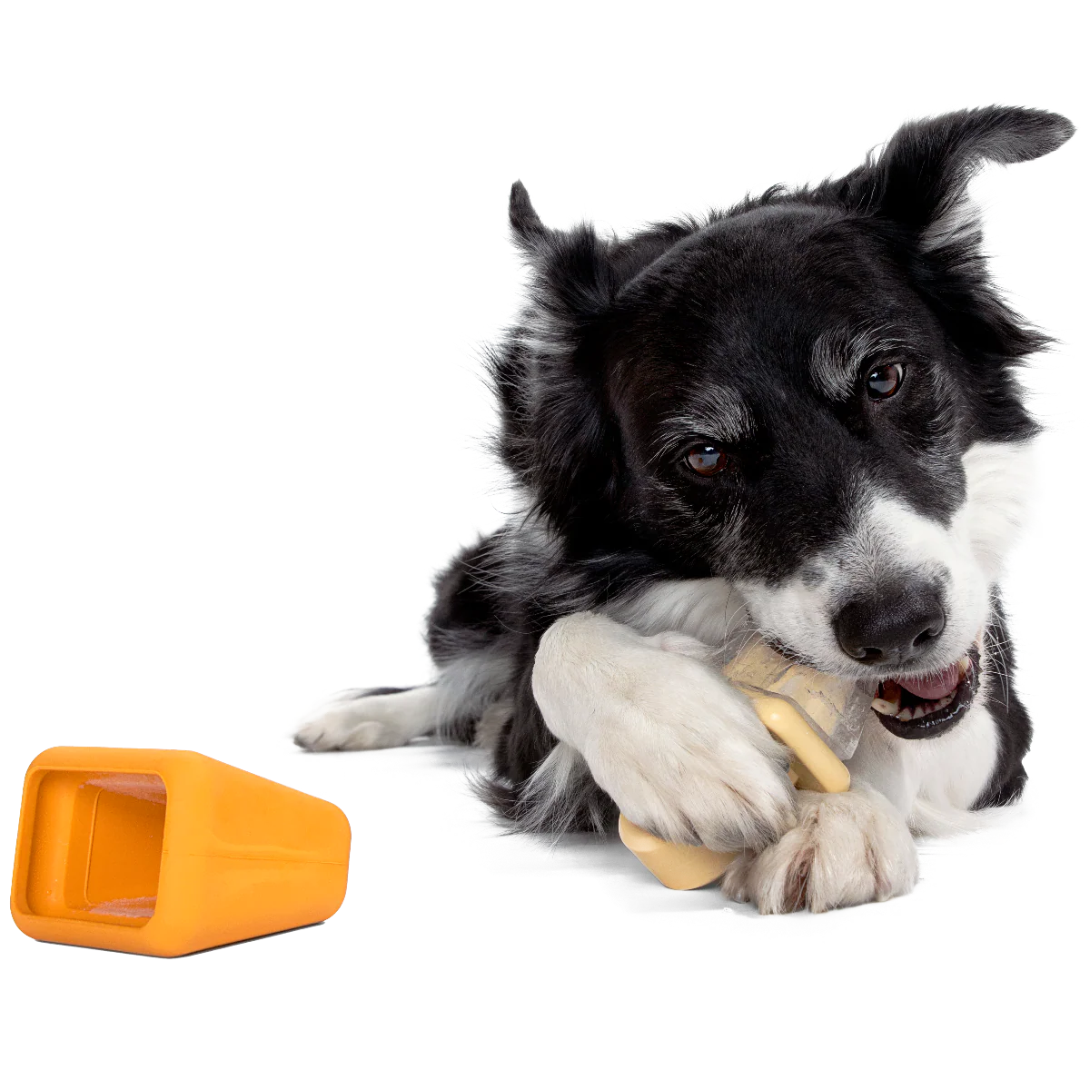 Make n' Munch Pupsicle Kit - Image 3