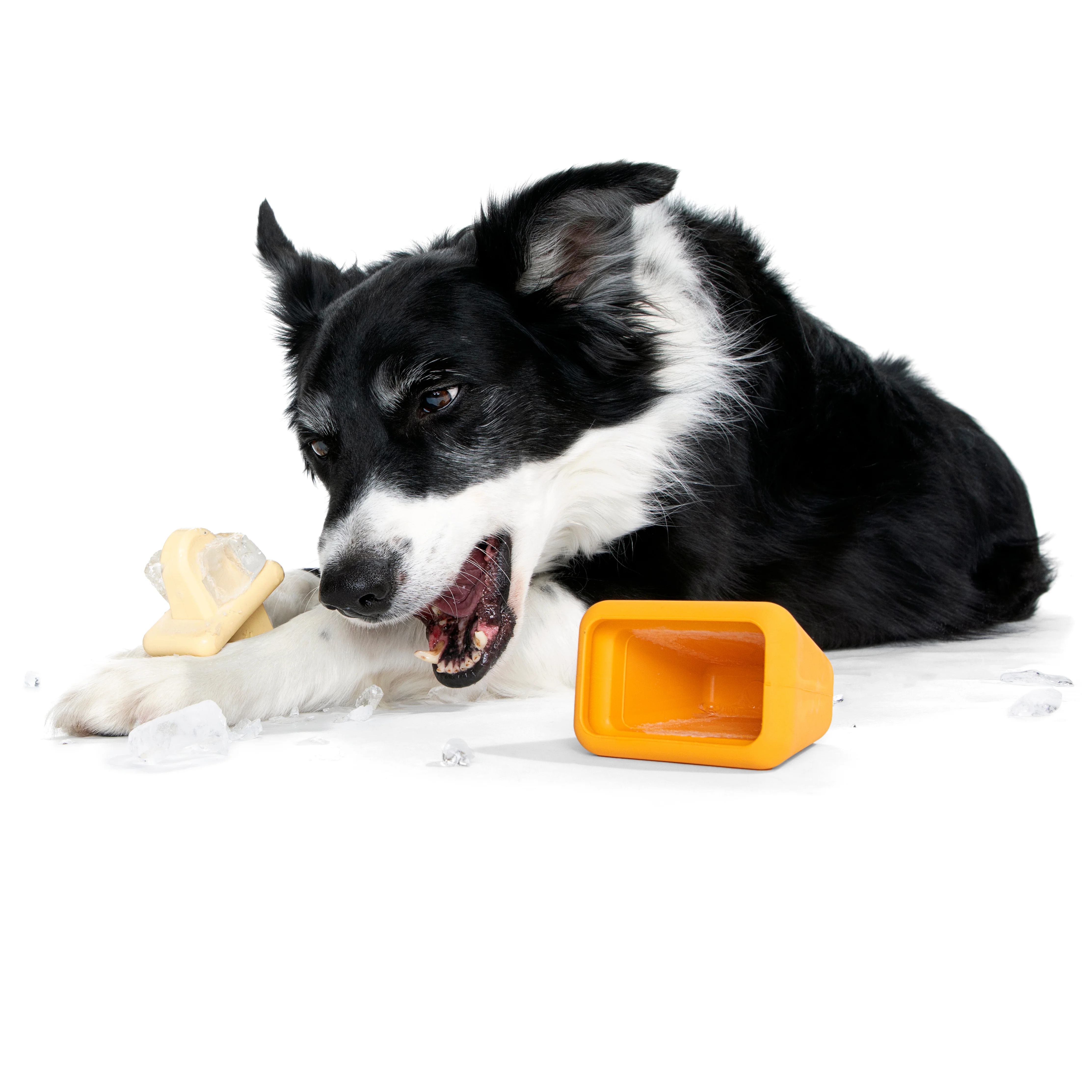 Make n' Munch Pupsicle Kit - Image 4