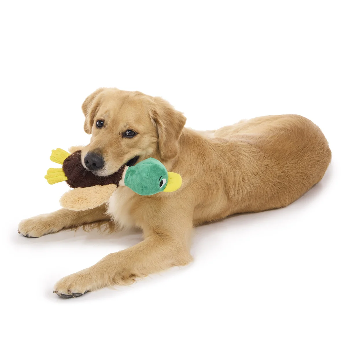 Mal R. Duck Plush Tug Dog Toy - Image 2