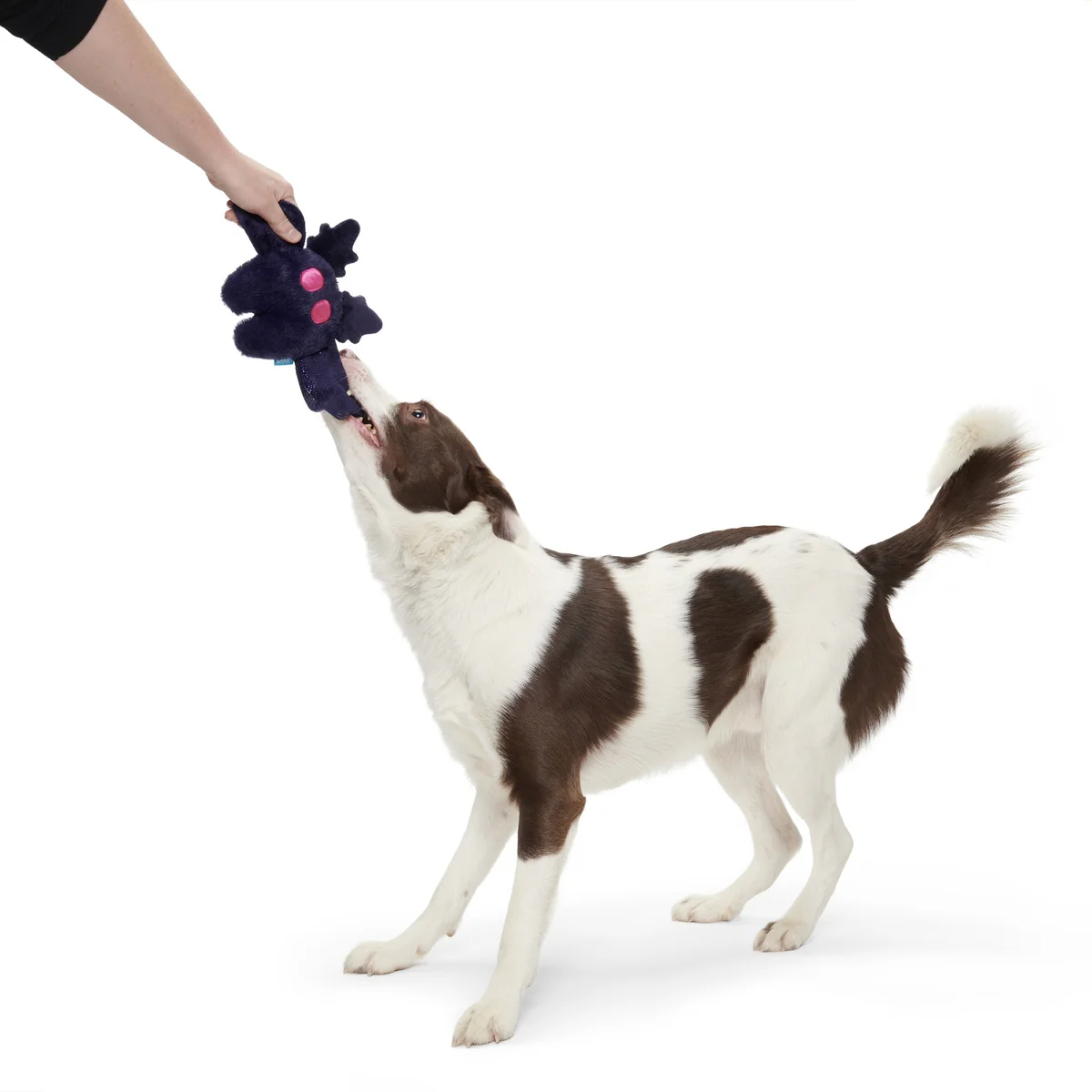 Manny Mothman Plush Tug Dog Toy - Image 3