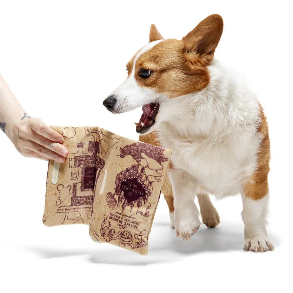 Marauder’s Map™ Plush Tug Dog Toy - Image 5