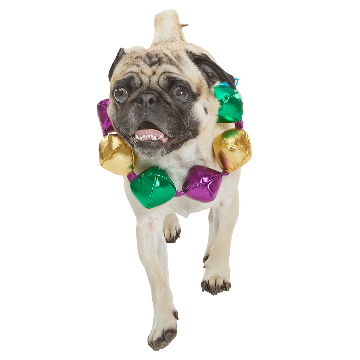 Mardi Growl Necklace Plush Wearable Tug Dog Toy - Image 2