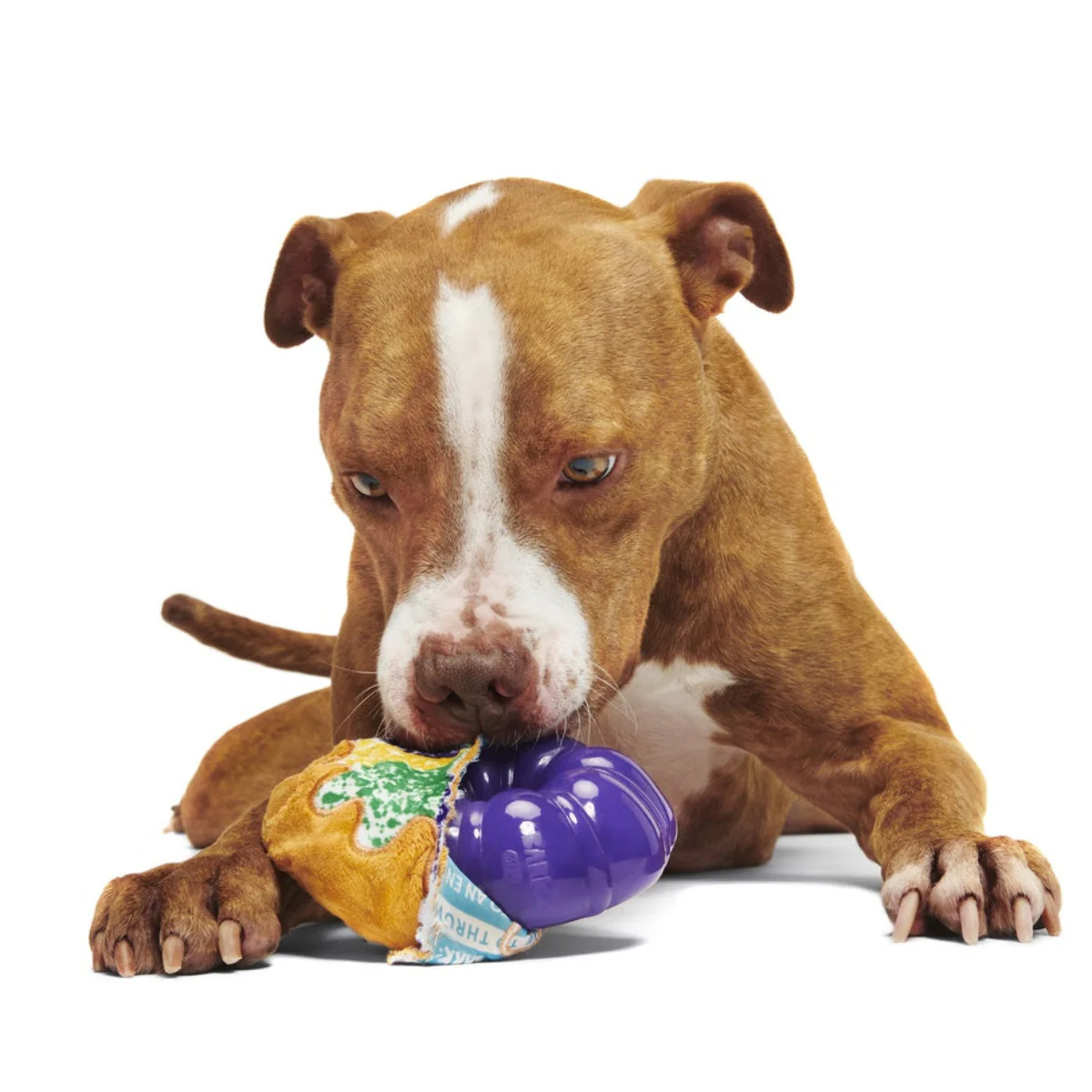 Mardi Paws King Cake Durable Super Chewer 2-in-1 Rip and Reveal + Enrichment Dog Toy - Image 2