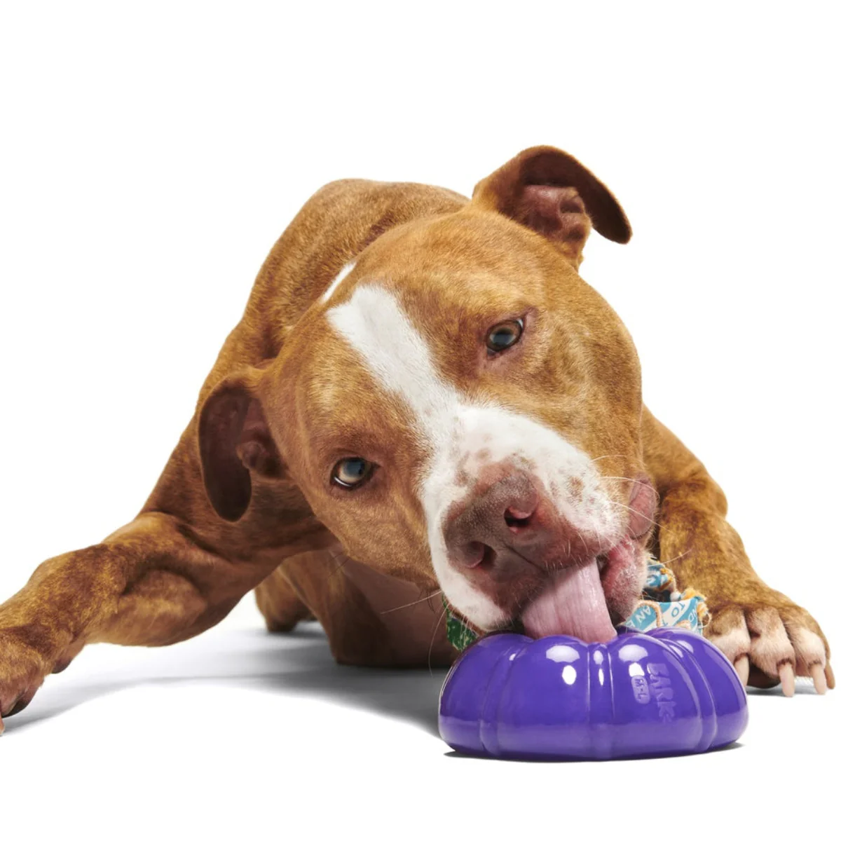 Mardi Paws King Cake Durable Super Chewer 2-in-1 Rip and Reveal + Enrichment Dog Toy - Image 3