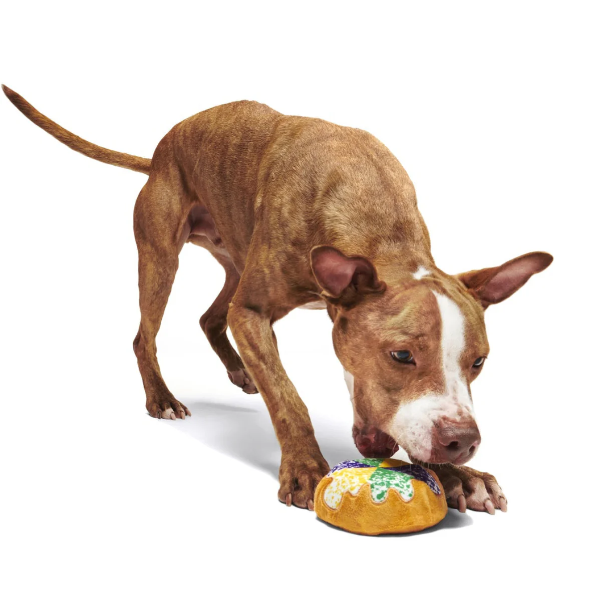 Mardi Paws King Cake Durable Super Chewer 2-in-1 Rip and Reveal + Enrichment Dog Toy - Image 6