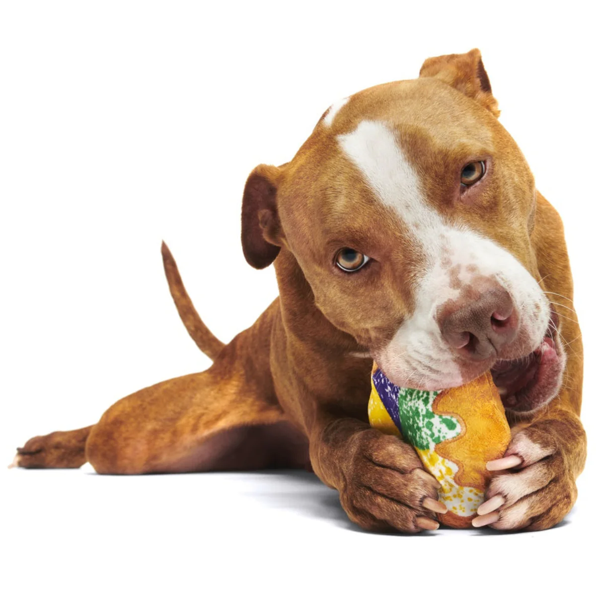 Mardi Paws King Cake Durable Super Chewer 2-in-1 Rip and Reveal + Enrichment Dog Toy - Image 7