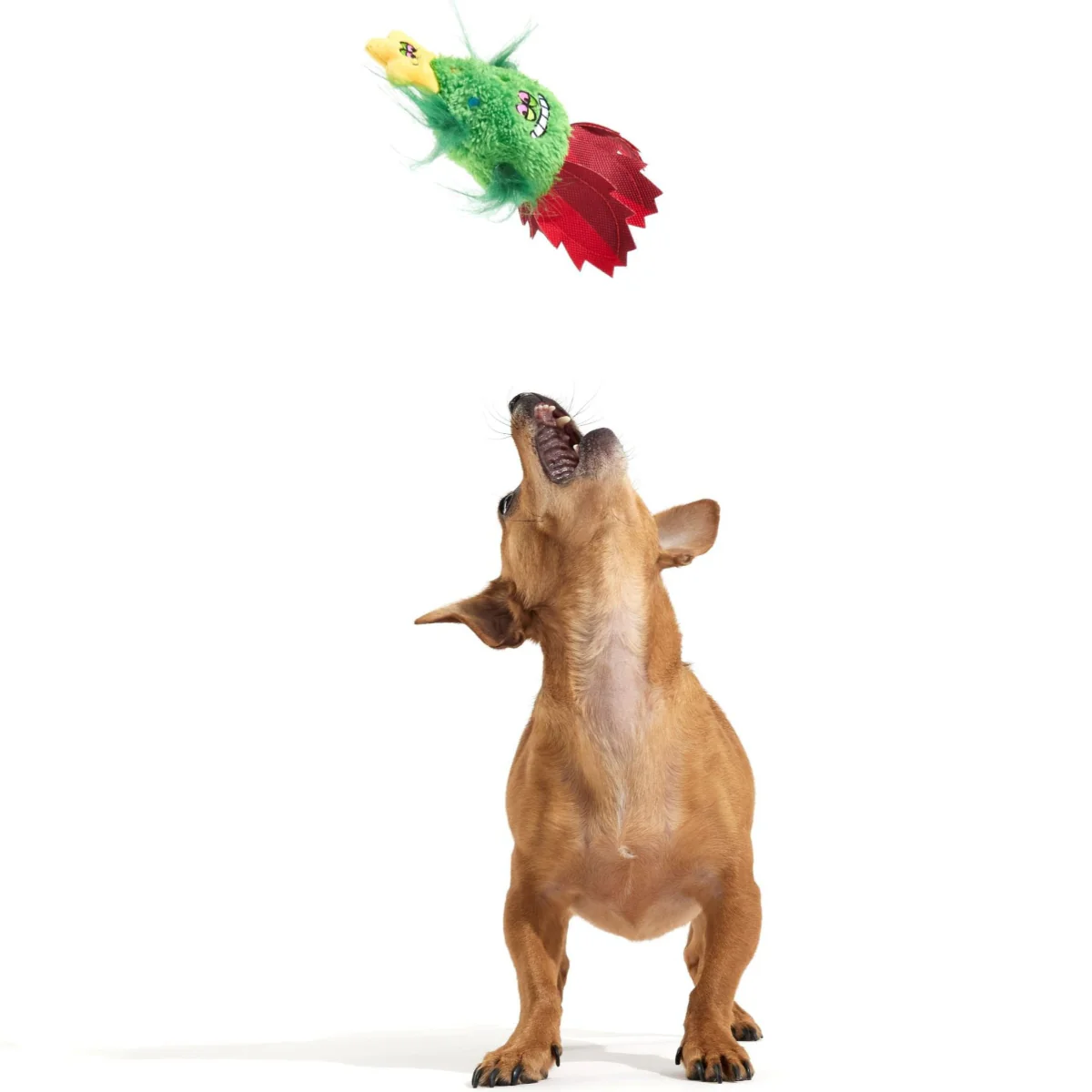 Merry Juana Plush Tug Dog Toy - Image 3