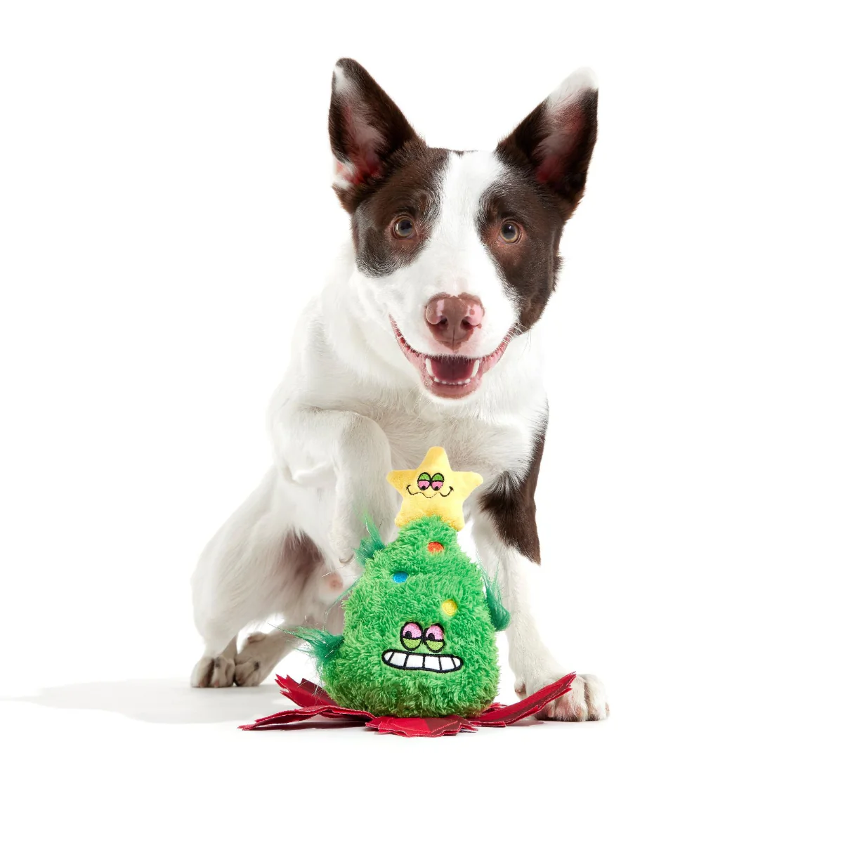 Merry Juana Plush Tug Dog Toy - Image 4