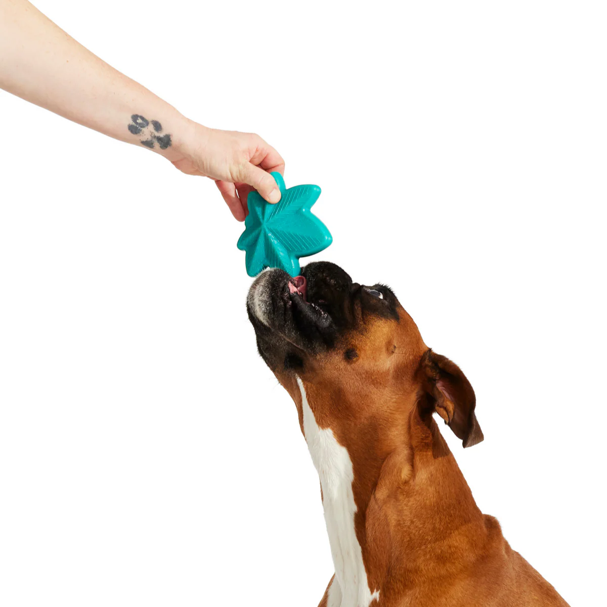 Mighty Juana Super Chewer Durable Gnaw Dog Toy - Image 4