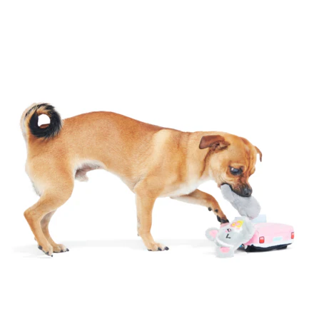 Mister and Mouses Plush Multi-Part Dog Toy - Image 4