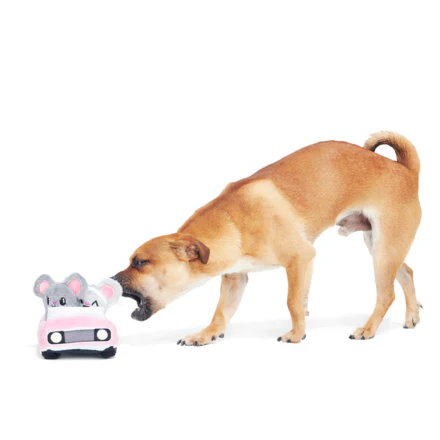 Mister and Mouses Plush Multi-Part Dog Toy - Image 5