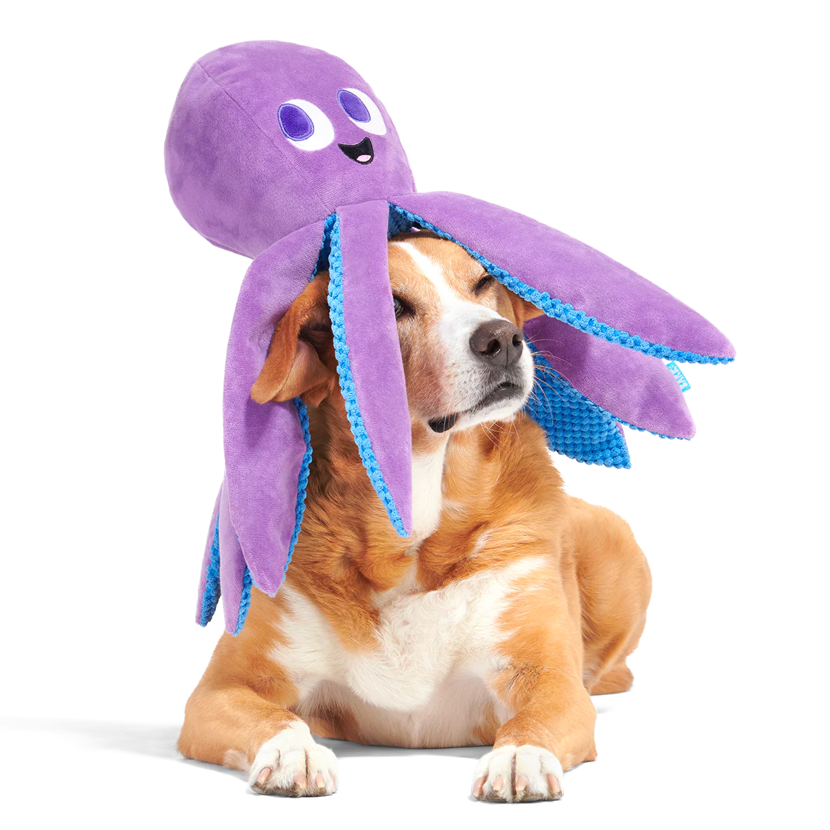 Mondo Ollie the Octopus Plush Tug + Extra-Large Dog Toy