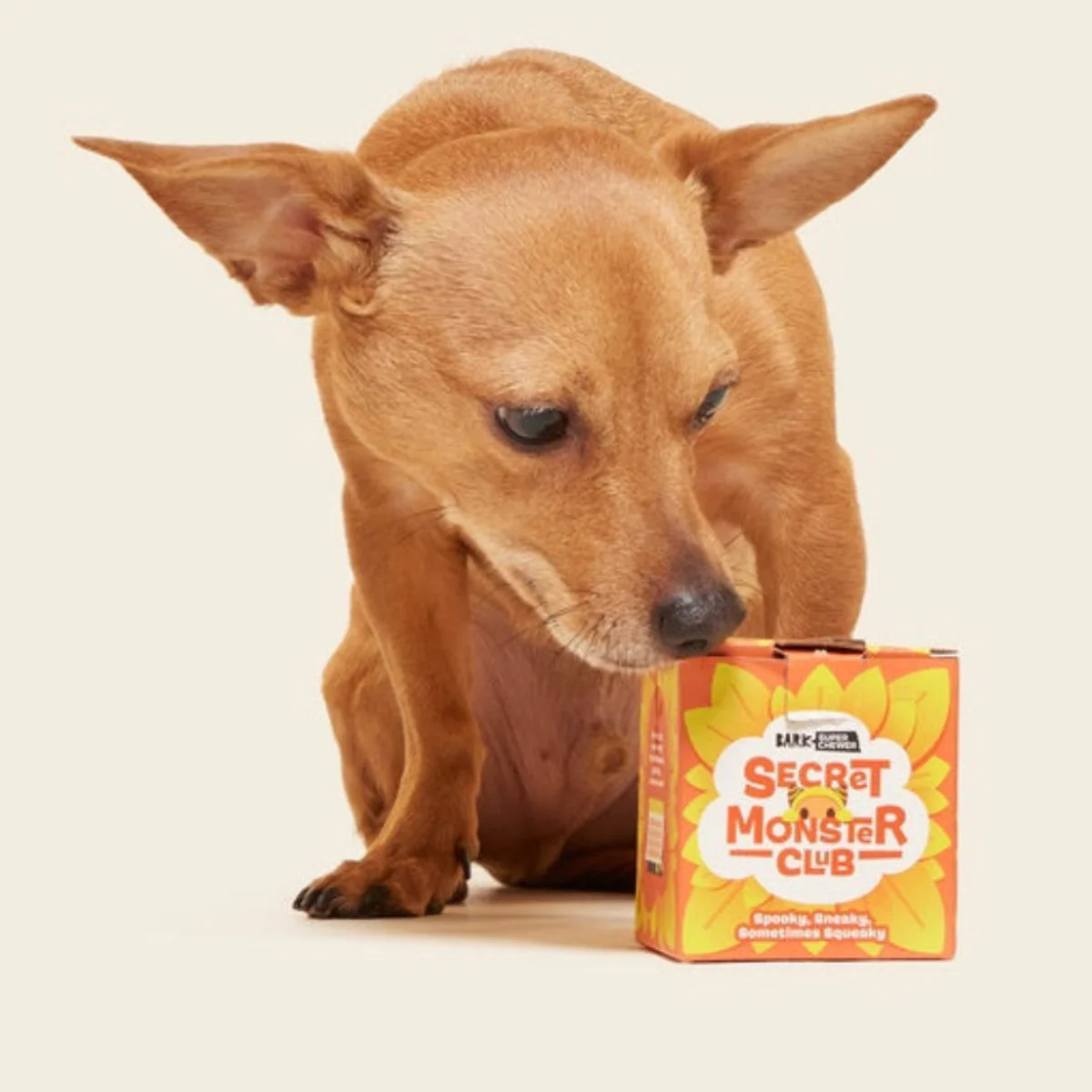 Secret Monster Club, Super Chewer Durable 2-in-1 Rip and Reveal Monthly Dog Toys - Image 2