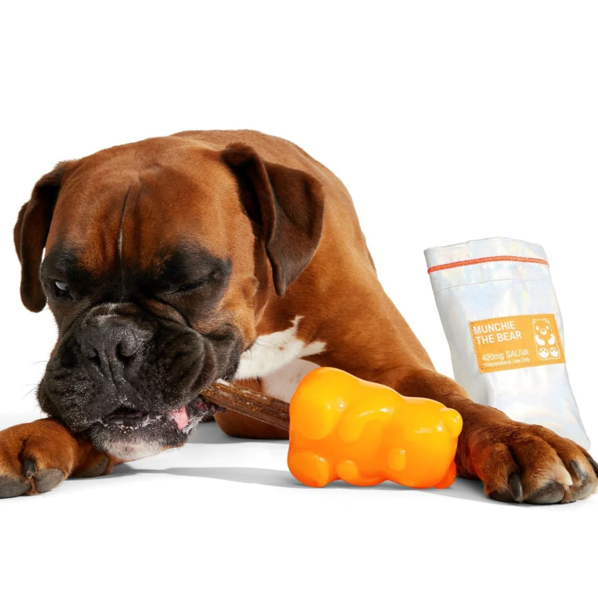 Munchie the Bear Super Chewer Durable Multi-Part + Enrichment Dog Toy - Image 2