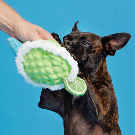 Muy Squeaky Margarita Plush Tug Dog Toy - Image 2