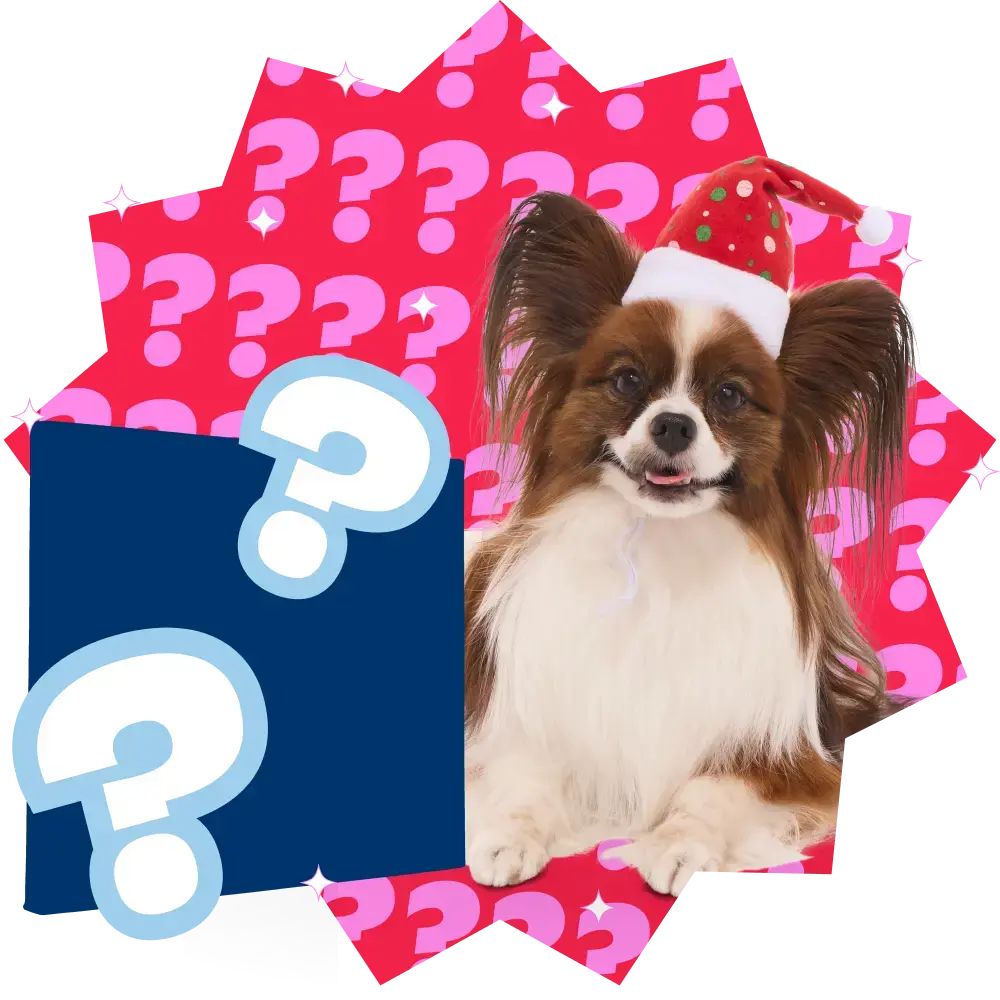 Mystery Item Plush Extra-Large + 2-in-1 Rip and Reveal Dog Toy