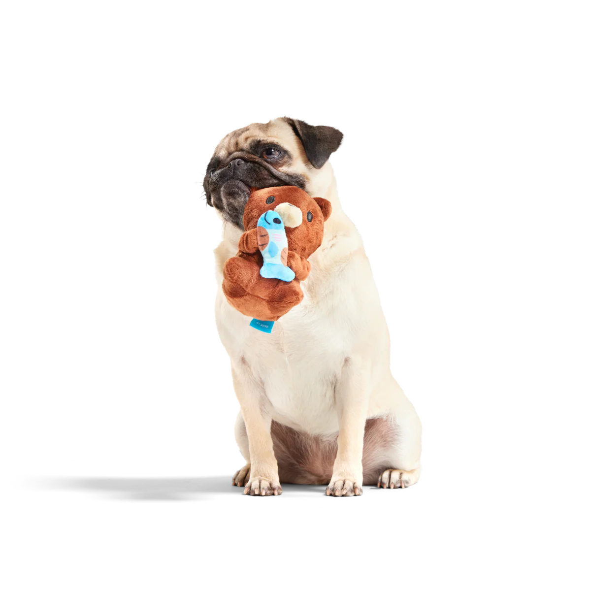 Izzy the Grizzly & Sal Plush Dog Toy - Image 2