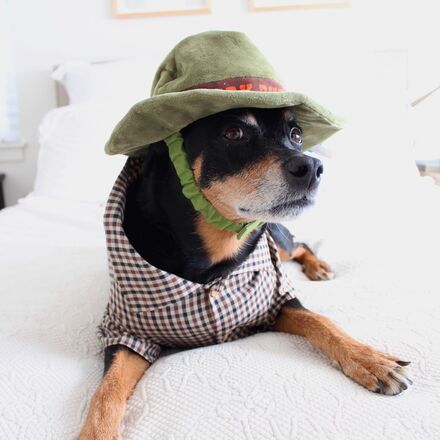 Park Buddy Hat Plush Wearable Dog Toy - Image 5