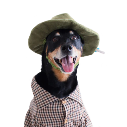 Park Buddy Hat Plush Wearable Dog Toy - Image 6