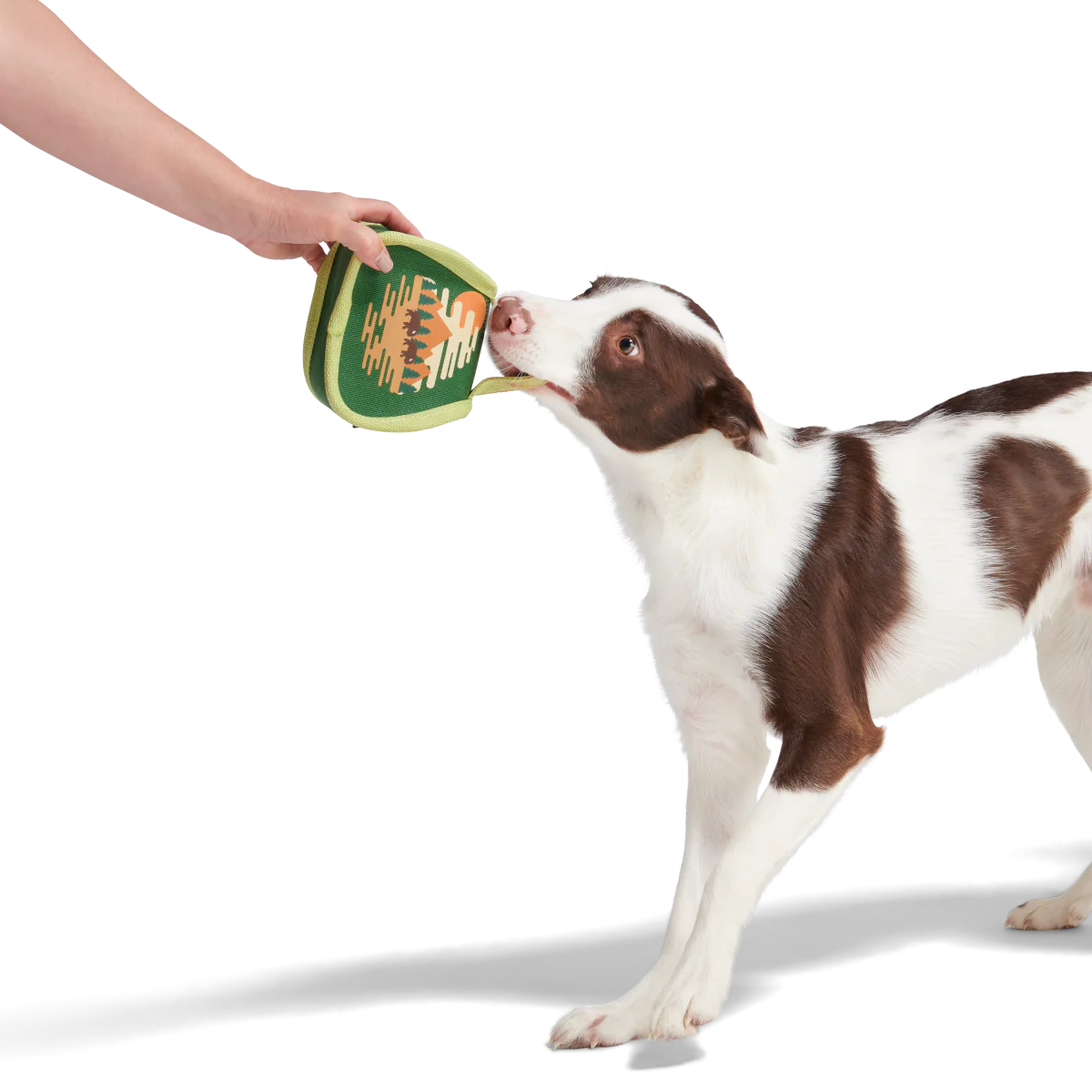 Parks Tuffel Bag Durable Super Chewer Multi-Part Dog Toy - Image 2