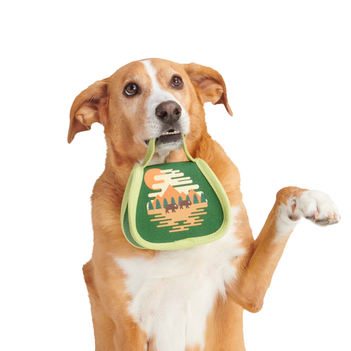 Parks Tuffel Bag Durable Super Chewer Multi-Part Dog Toy - Image 3