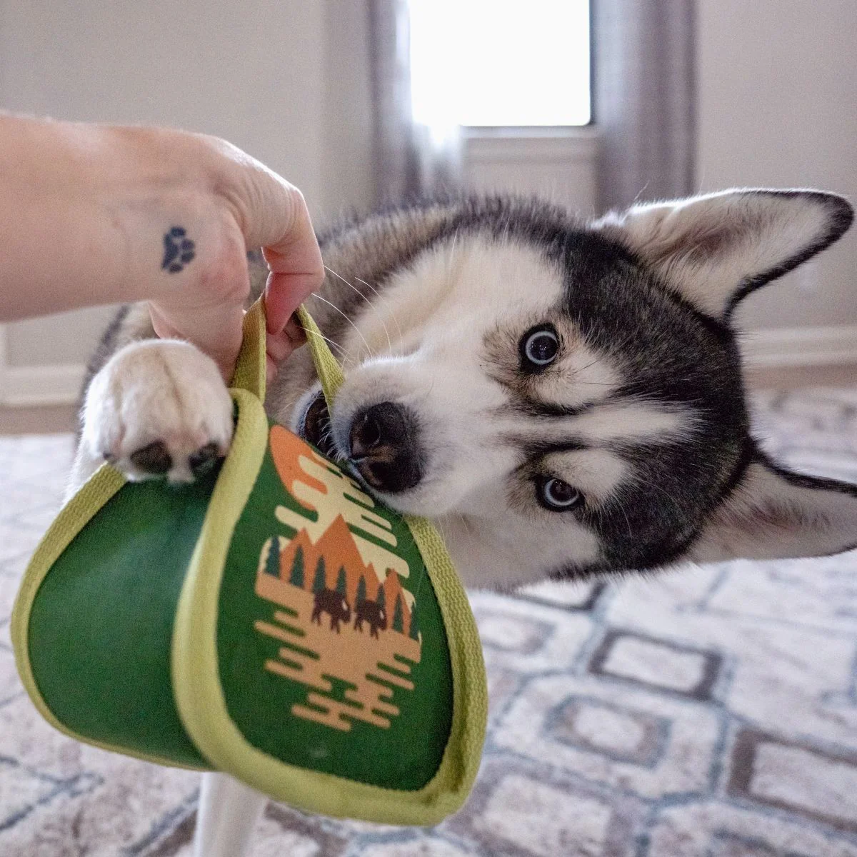 Parks Tuffel Bag Durable Super Chewer Multi-Part Dog Toy - Image 4