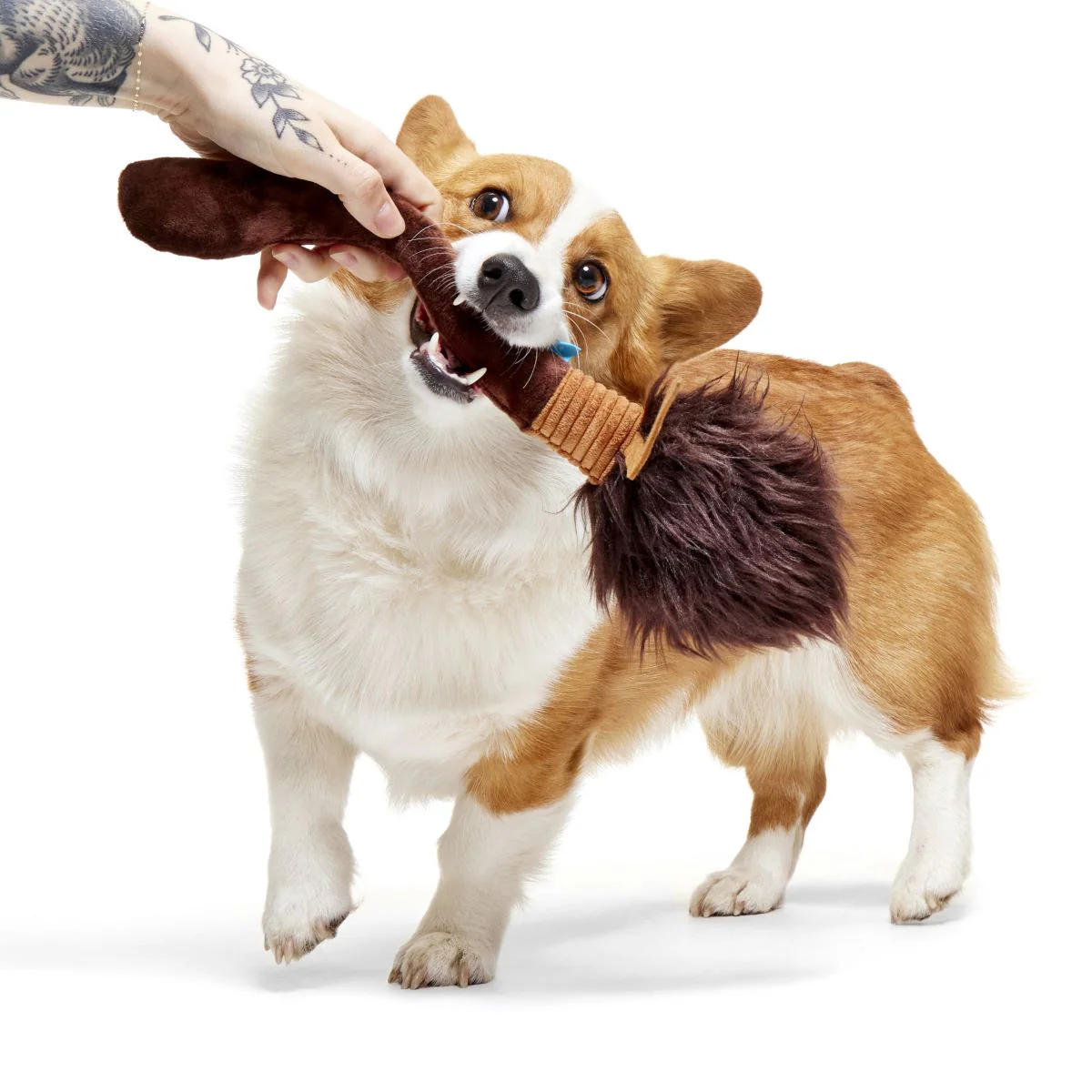 Nimbus 2000™ Broomstick Plush Fetch Dog Toy - Image 3