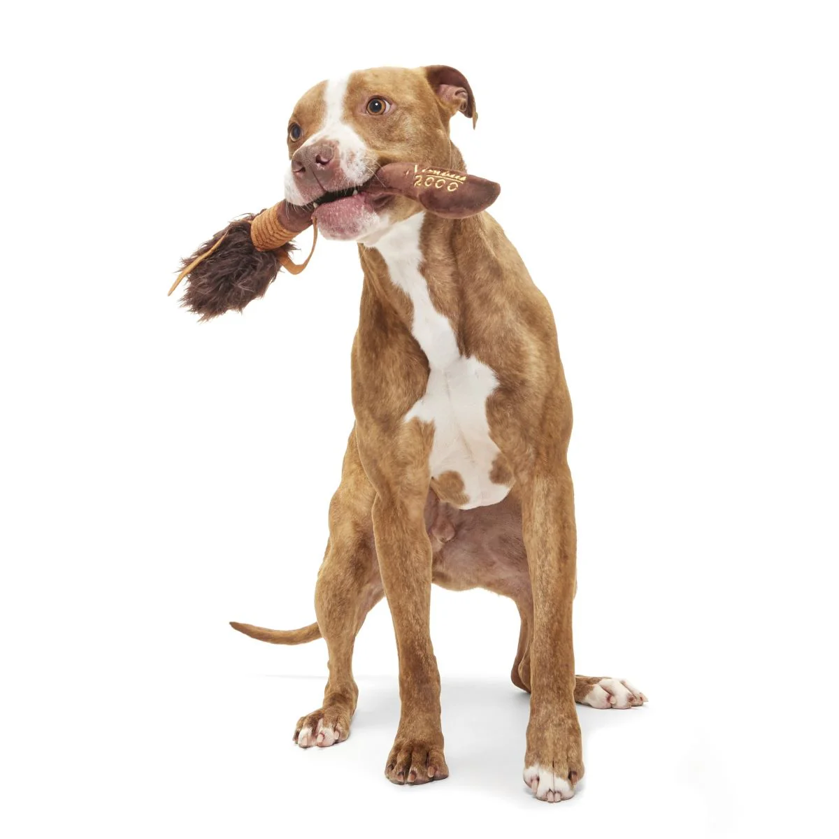 Nimbus 2000™ Broomstick Plush Fetch Dog Toy - Image 4