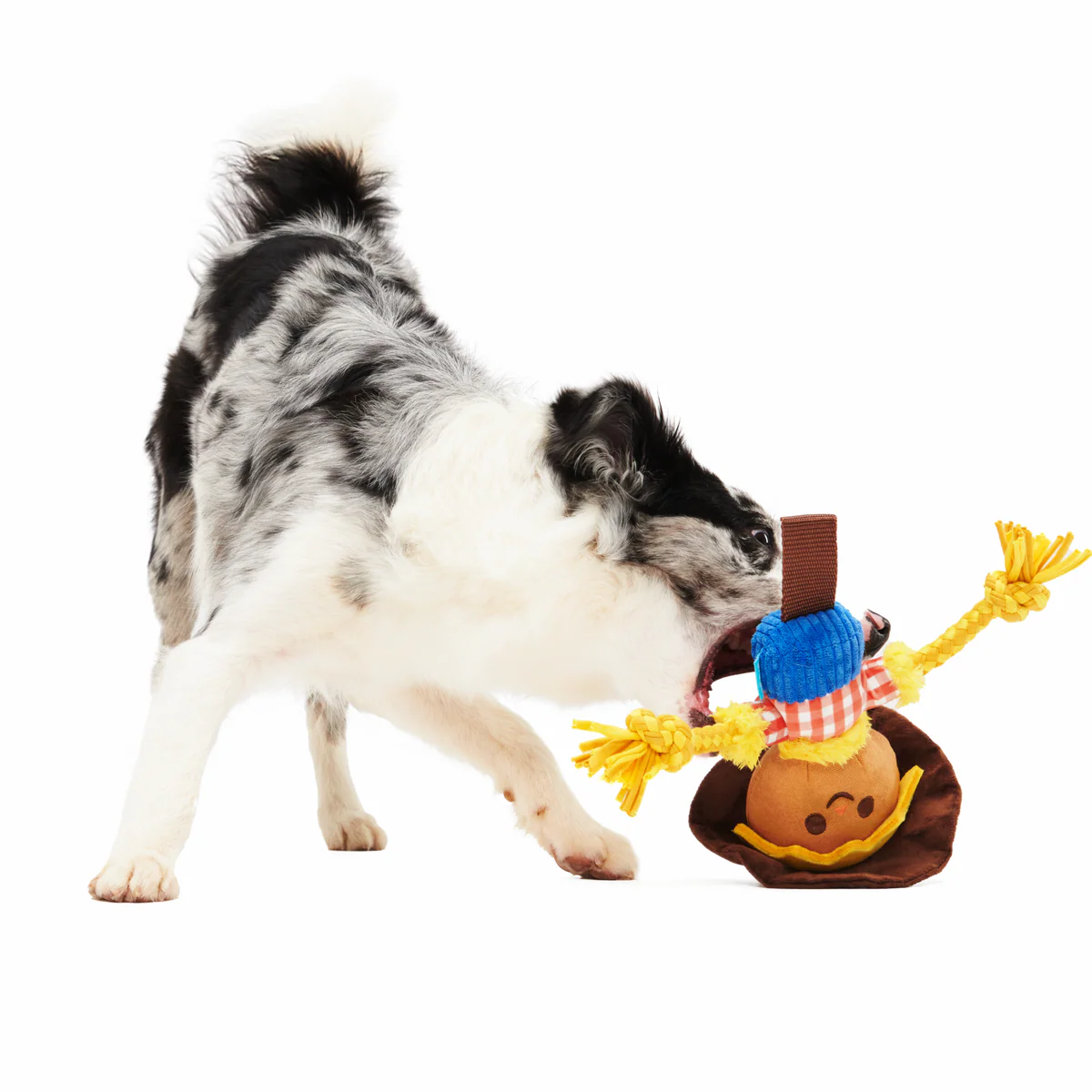 Not Scary Harry Plush Tug Dog Toy - Image 2