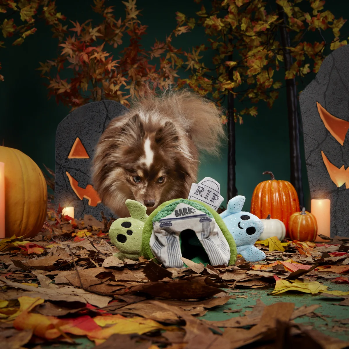 Now You See 'Em Mausoleum Plush Multi-Part + Enrichment Dog Toy - Image 8