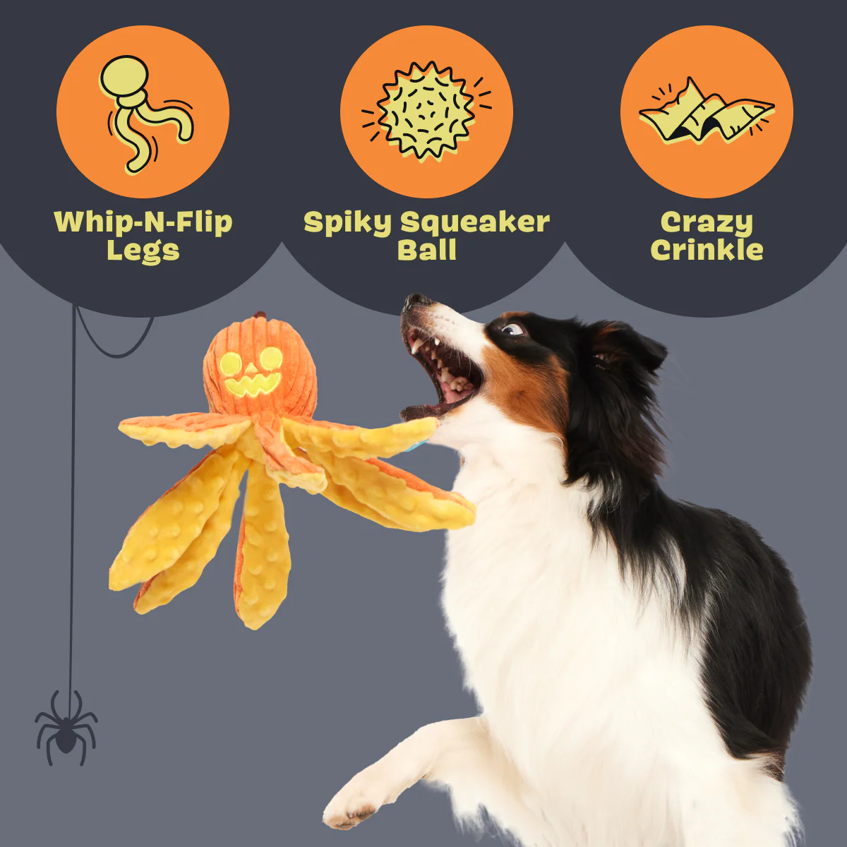 Jack-Ollie Lantern - Image 2