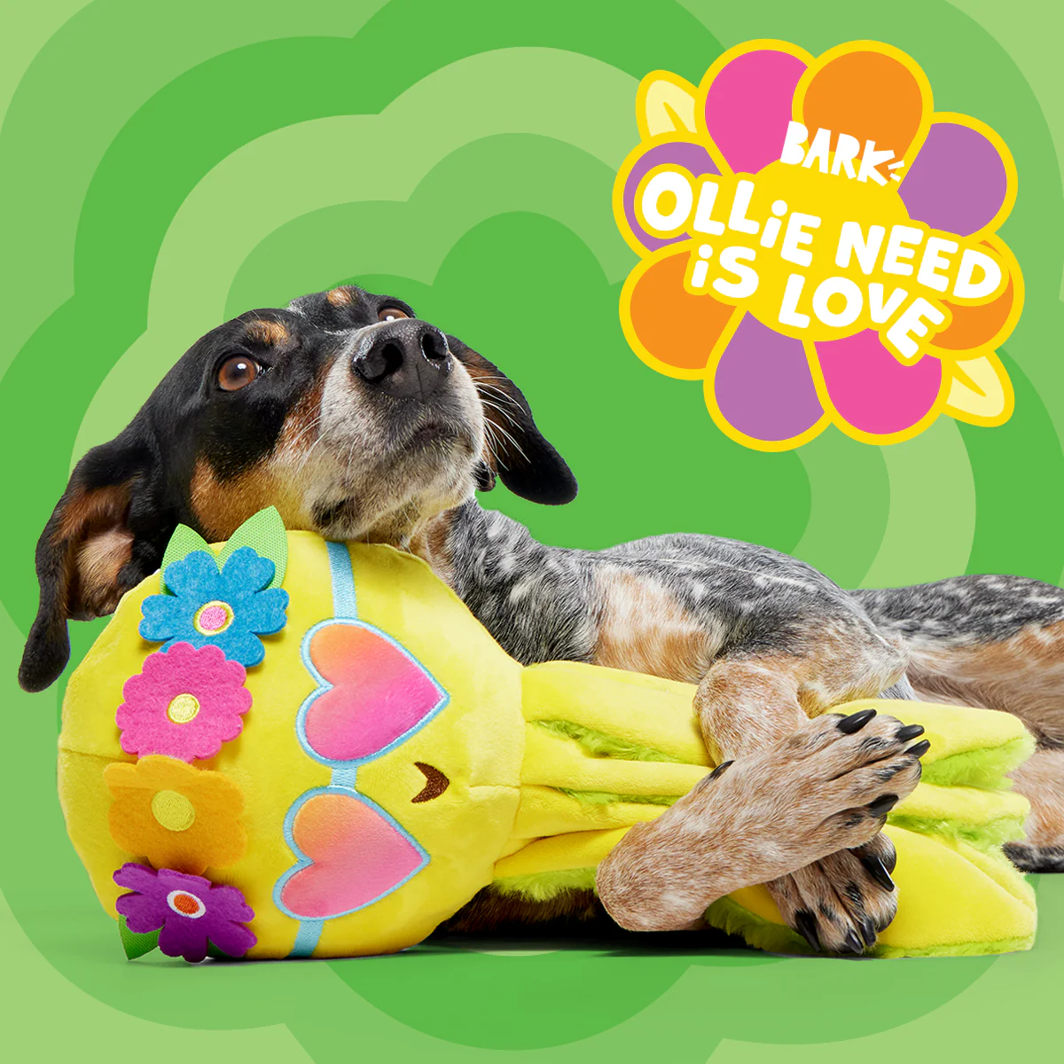 Ollie the Octopus Club, Plush Tug Monthly Dog Toys - Image 3
