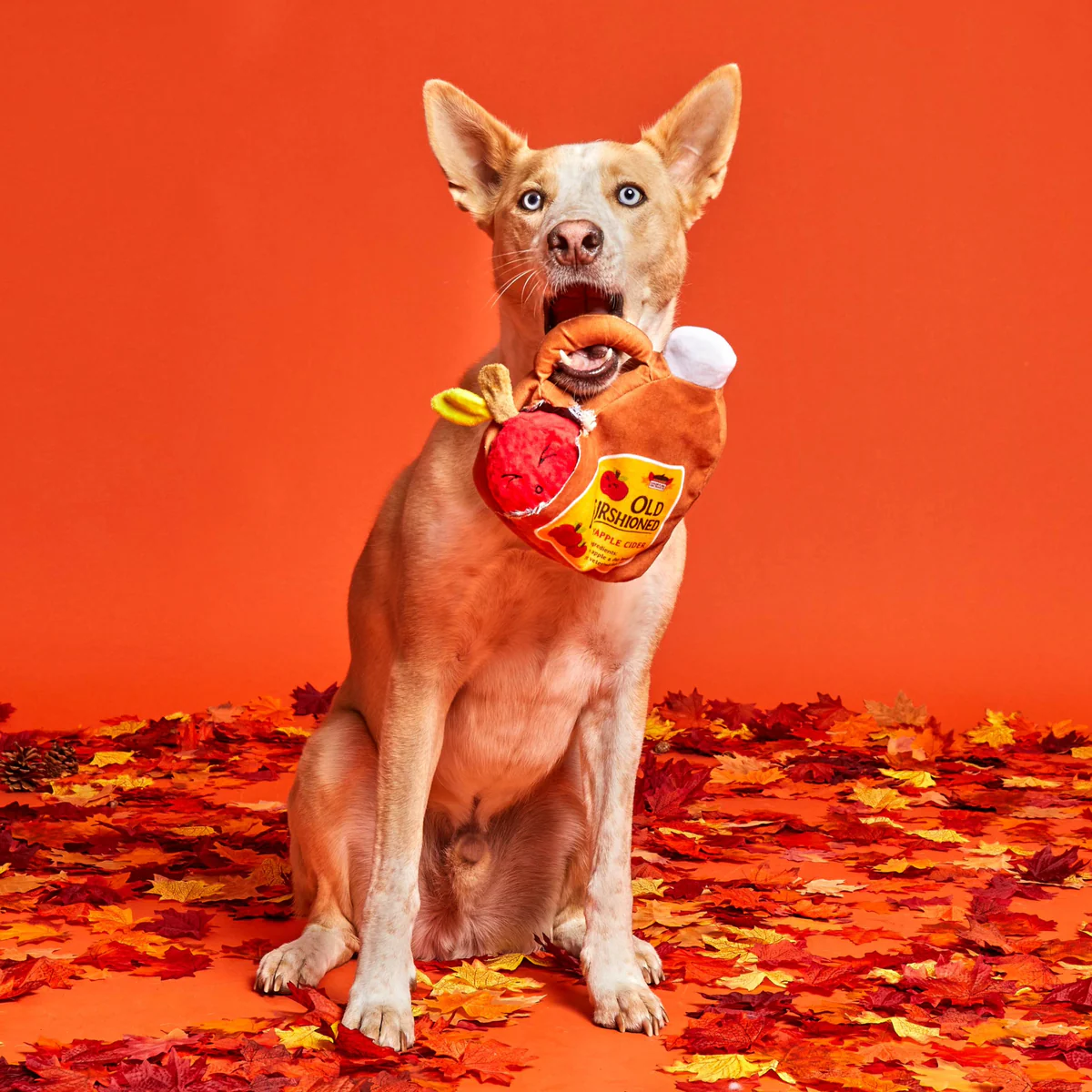 Old Furshioned Yapple cider Plush 2-in-1 Rip and Reveal Dog Toy - Image 2