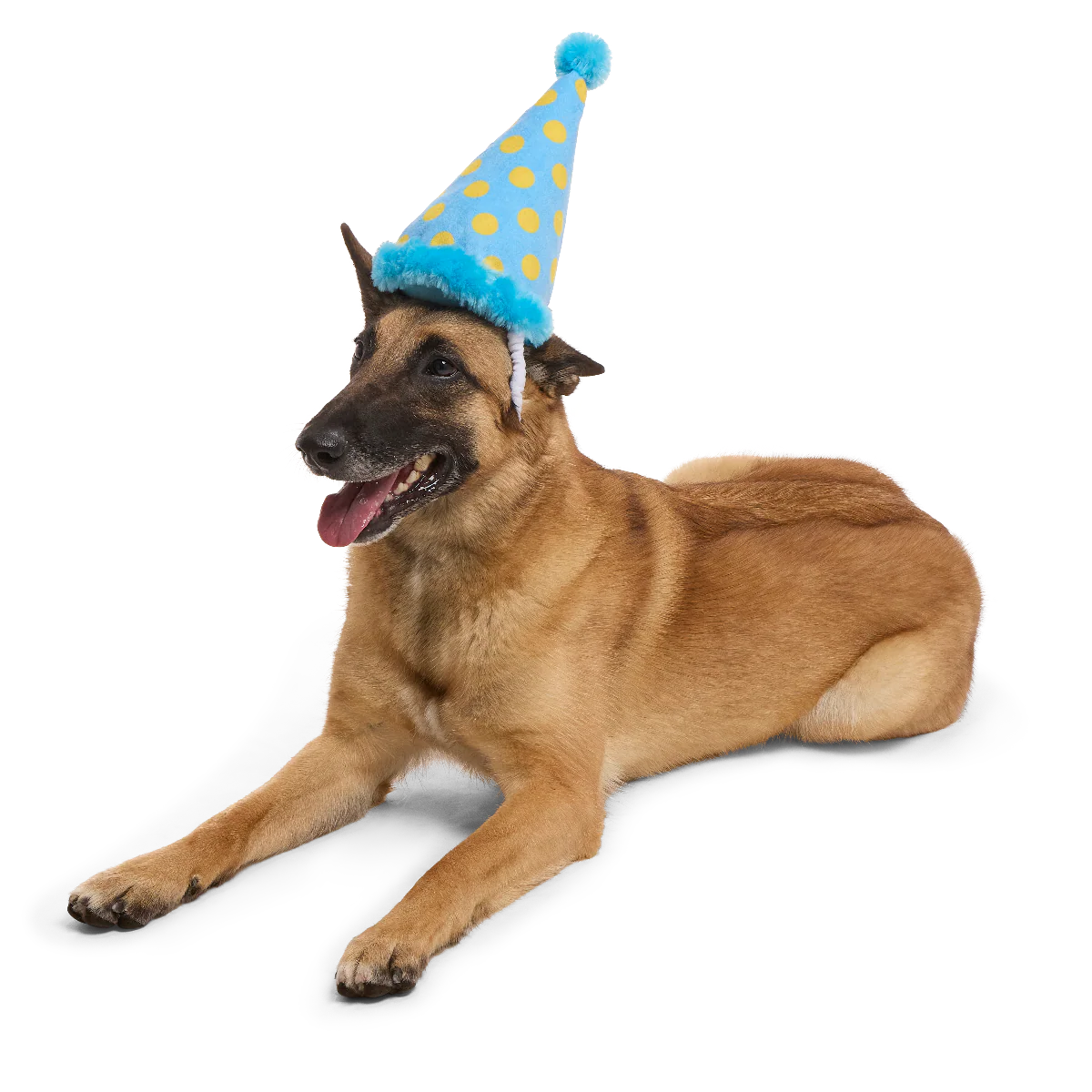 Party Hat Plush Wearable Dog Toy - Image 4