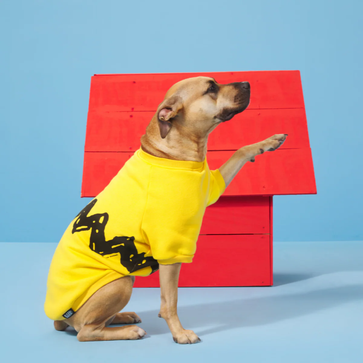 Peanuts Dog Sweatshirt - Image 2