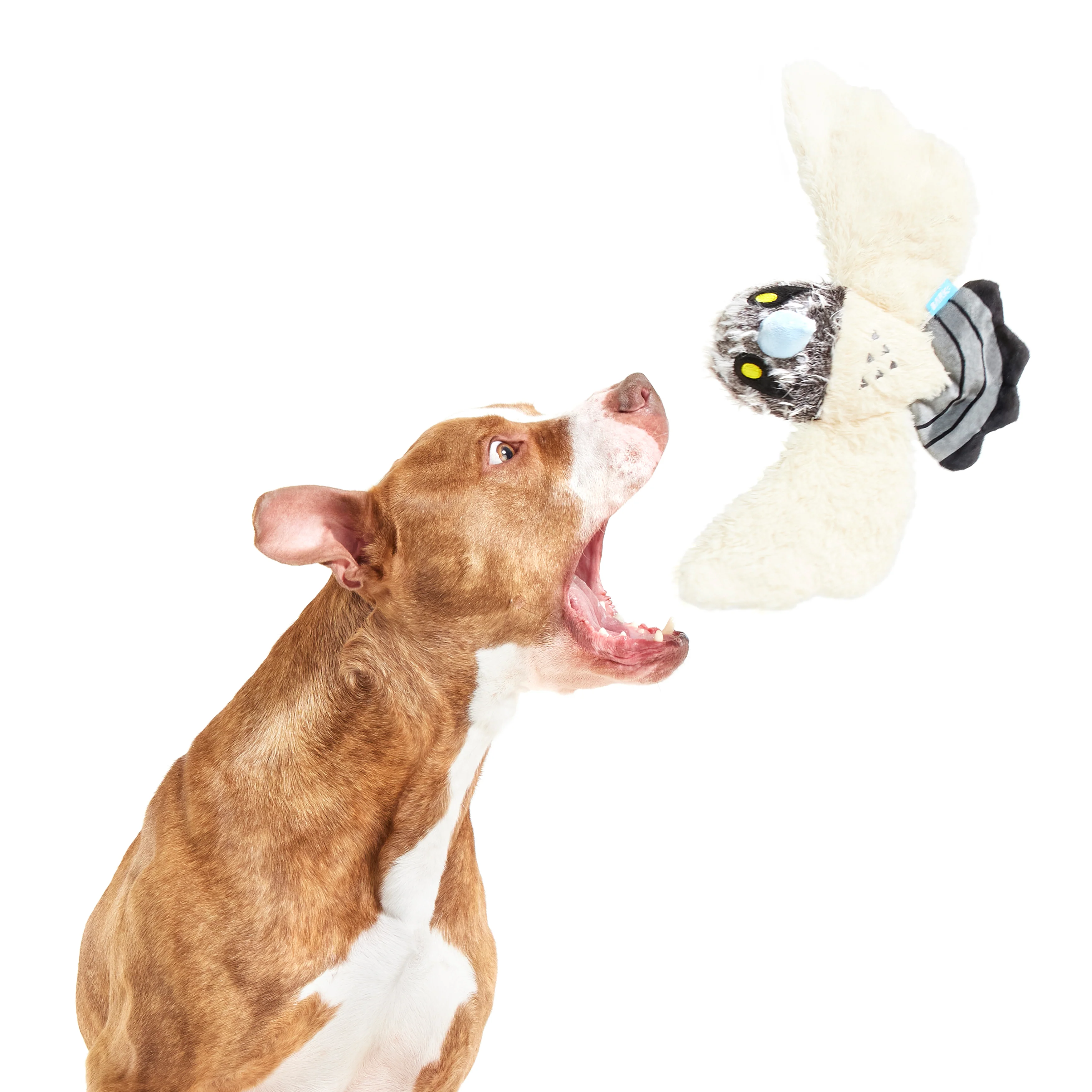 Perry the Peregrine Falcon Plush Tug Dog Toy - Image 2