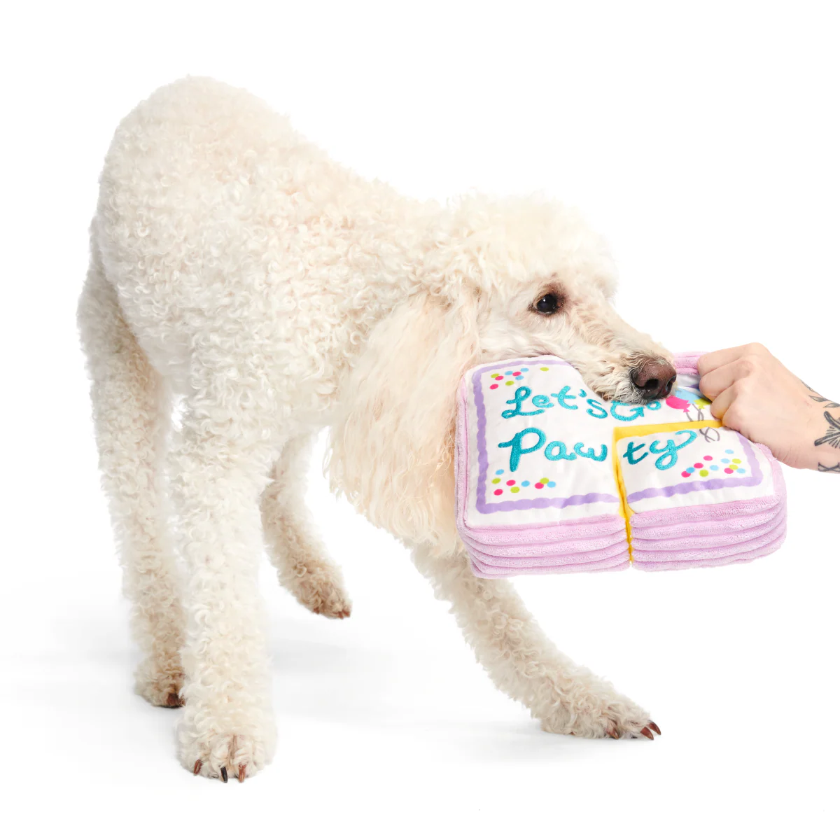 Piece Of Sheet Cake Plush Multi-Part Dog Toy - Image 4