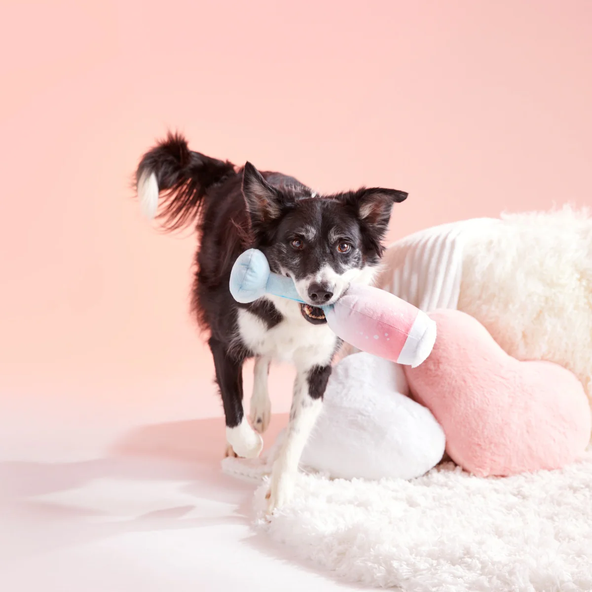 Pink Chompagne Plush Tug Dog Toy - Image 2