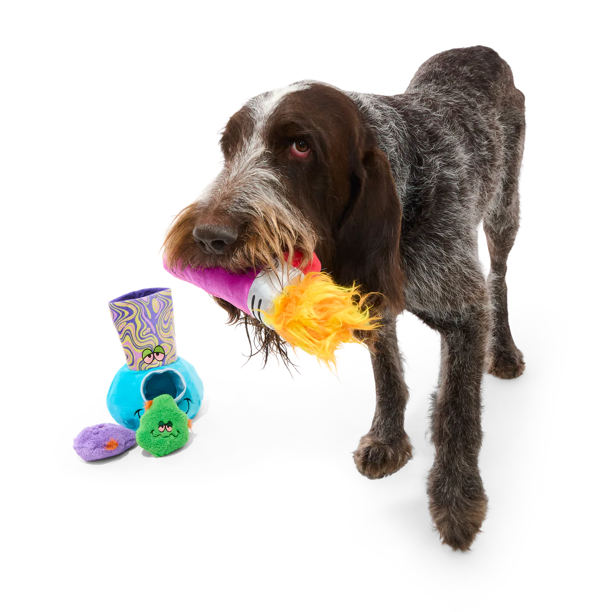 Pipe Dreams Plush Extra-Large + Multi-Part + Enrichment Dog Toy - Image 3