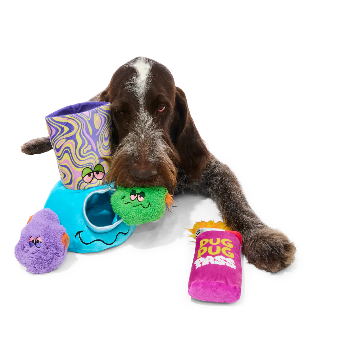 Pipe Dreams Plush Extra-Large + Multi-Part + Enrichment Dog Toy - Image 4