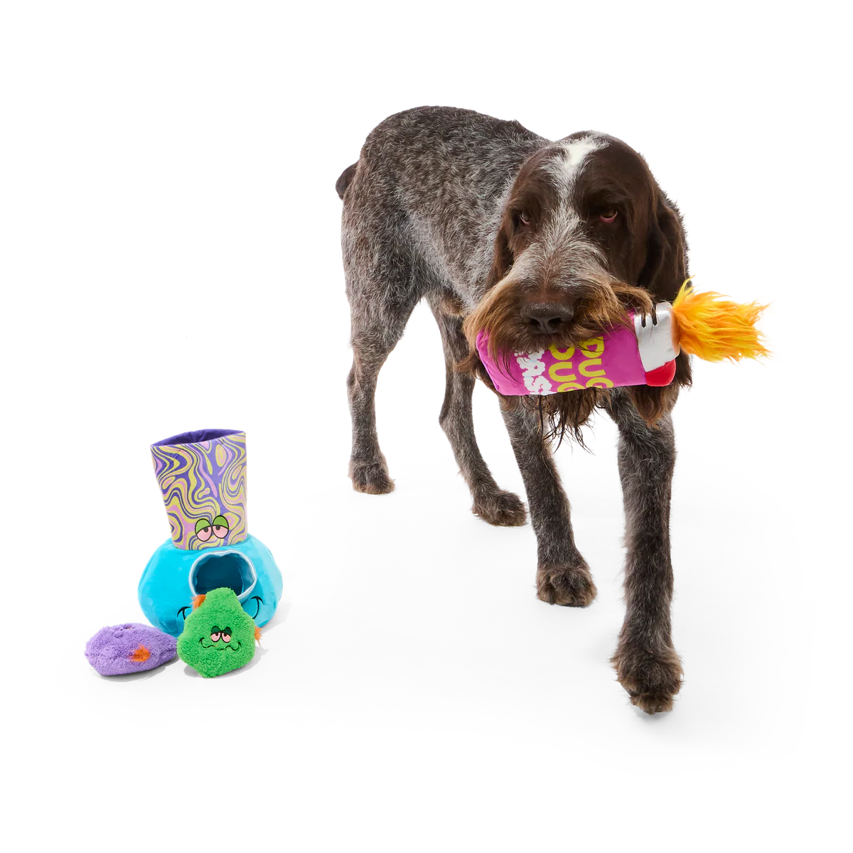 Pipe Dreams Plush Extra-Large + Multi-Part + Enrichment Dog Toy - Image 7