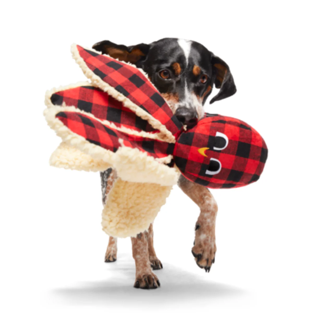 Plaid Party Plush Dog Toy & Treat Holiday Gift Box - Image 2