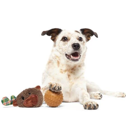 Plaidamoose Super Chewer Durable 2-in-1 Dog Toy - Image 5