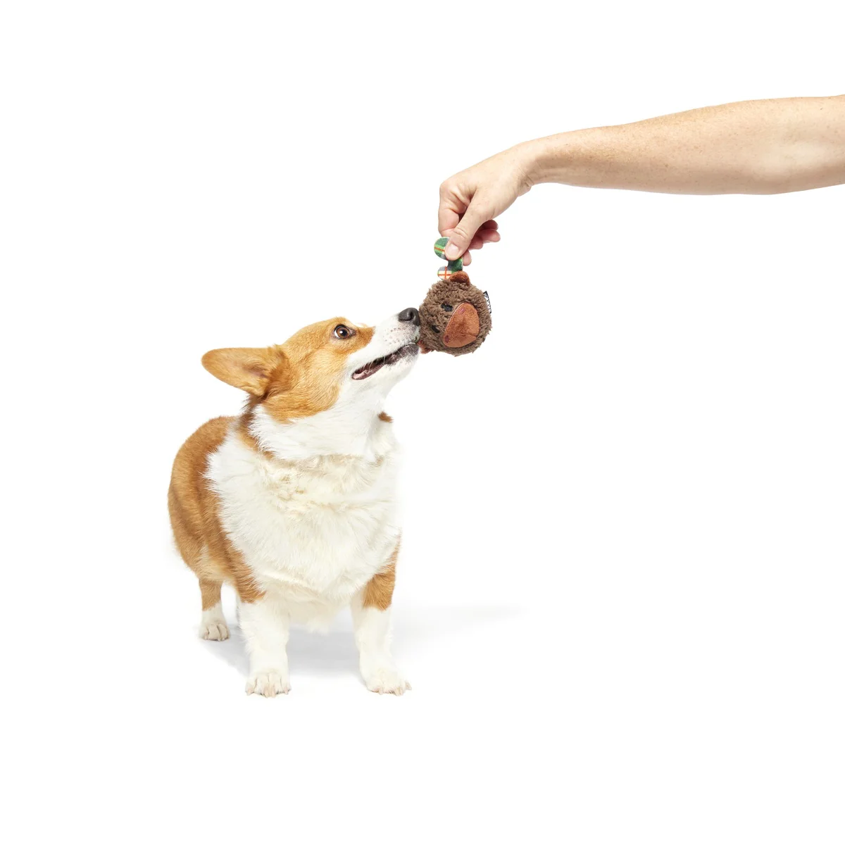 Plaidamoose Super Chewer Durable 2-in-1 Dog Toy - Image 8